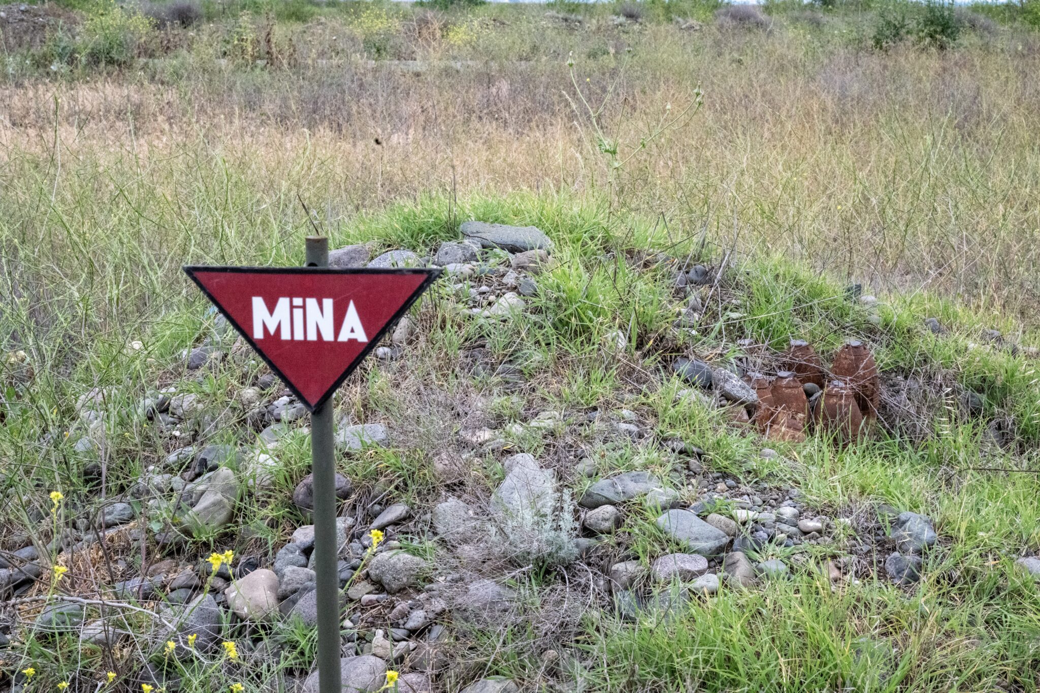 Belgian Ministry of Foreign Affairs Funds APOPO's Mine Clearance in Azerbaijan