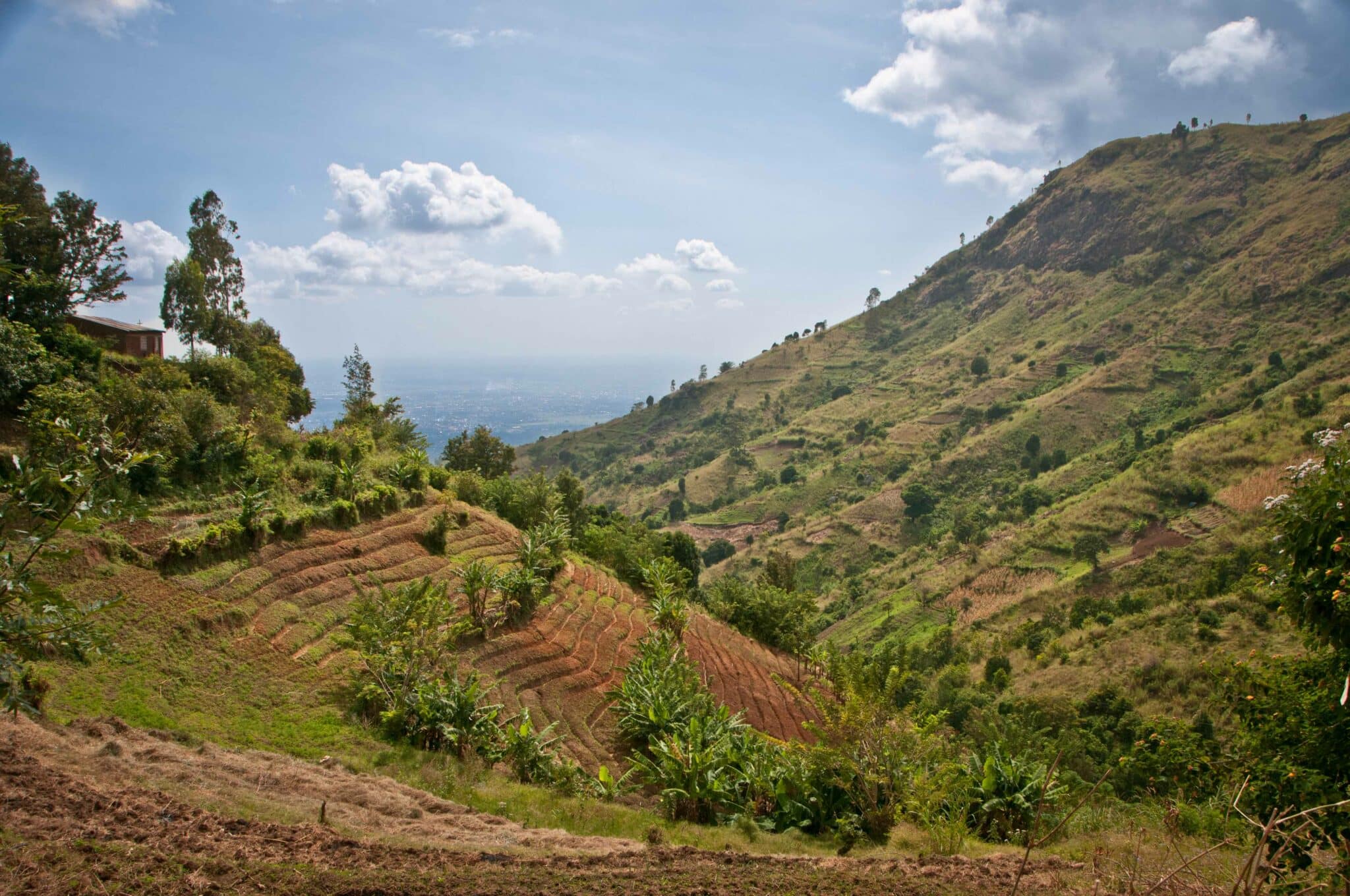 Deforestation and bare hills