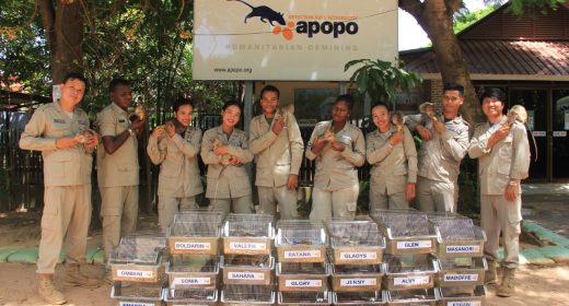 New-rat-recruits-in-SiemReap New-rat-recruits-in-SiemReap