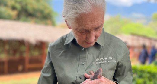 Dr Jane Goodall visits APOPO’s Training Center Dr Jane Goodall visits APOPO's Training Center